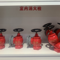 室內消火栓 SN65